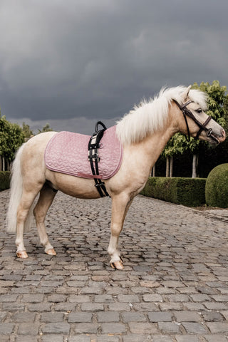 Schabracke Samt Pony Old Rose
