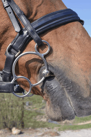 Dynamic RS Universal 3-teiliges Gebiss 16mm