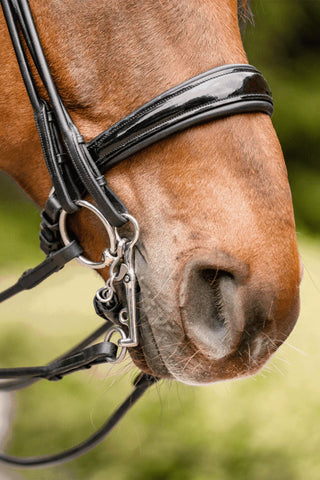 Kinriembeschermer Leer Zwart