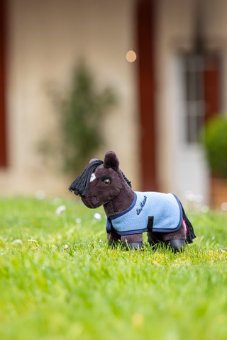 Tiny Pony Freya