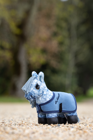 Tiny Pony Sam