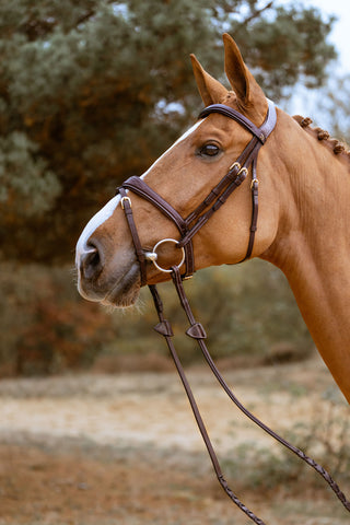 Trense Anatomisk Bred Næserem Dyon Collection Brun