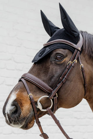 Bridle Plaited Pullback Dyon Collection Brown