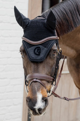 Bridle Plaited Pullback Dyon Collection Brown