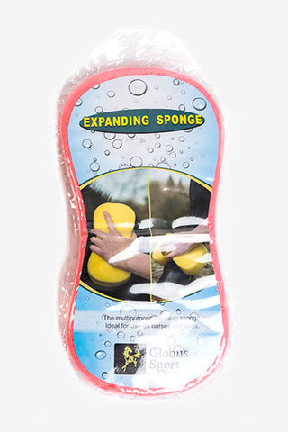 Washing Sponge