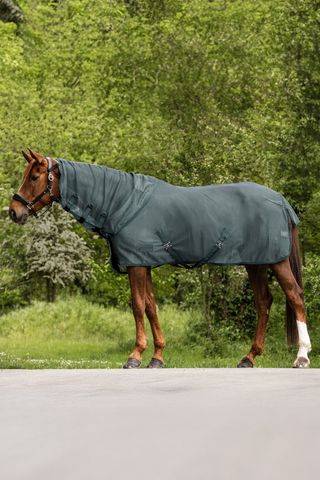 Fliegenhals Comfort Pine Green