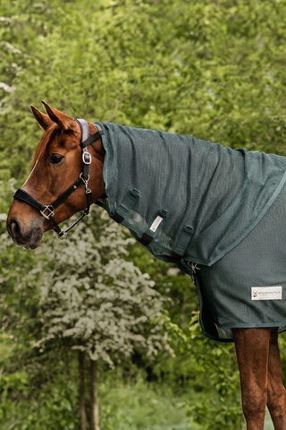 Fliegenhals Comfort Pine Green