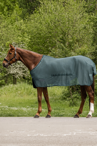 Fliegendecke Comfort mit Bauchlatz Pine Green