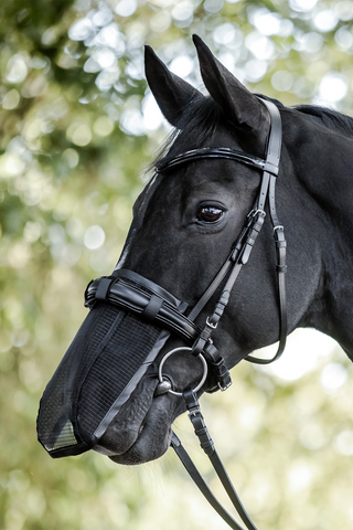 Nose Shield with UV Protection Black