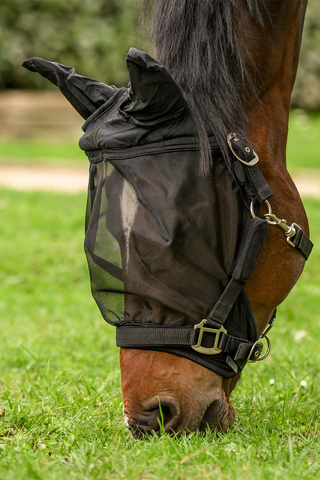 Fliegenhaube Premium für Halfter mit Ohren Schwarz