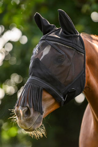 Fly Hood Premium 3-in-1 Black