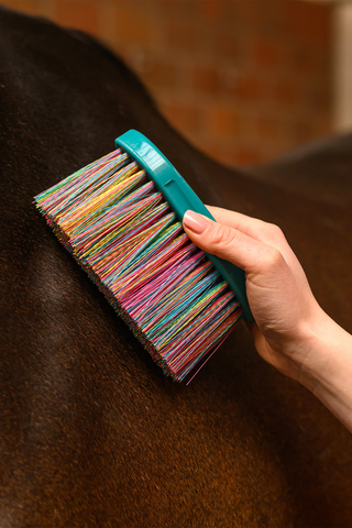 Rainbow Brush Petrol Blue