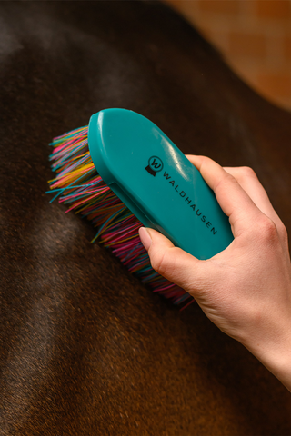 Rainbow Brush Petrol Blue