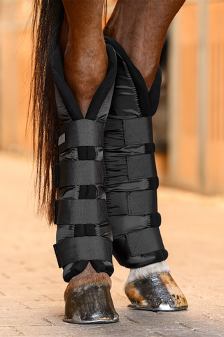 Stallbandagen Hinterbeine Schwarz