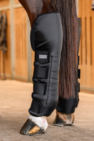 Stallbandagen Hinterbeine Schwarz