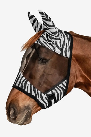 Vliegennetje Zebra