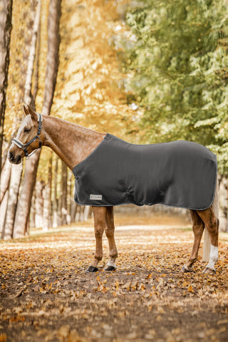Fleece-Decke Economic Kreuzgurte Grau