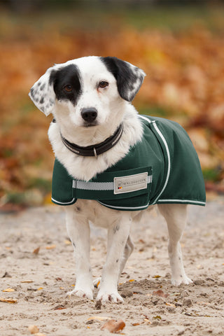 Couverture pour chien Comfort 200g