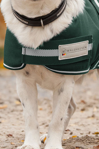 Couverture pour chien Comfort 200g