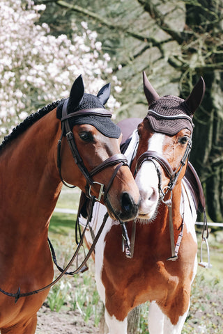Wellington Fliegenhaube Braun