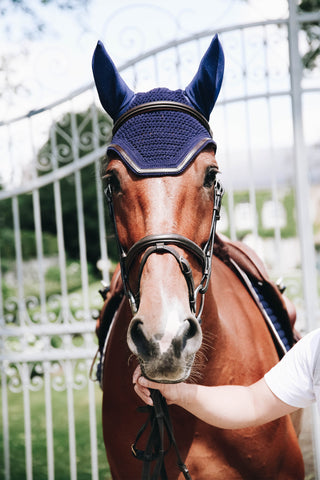 Wellington Oornet Leder Pony