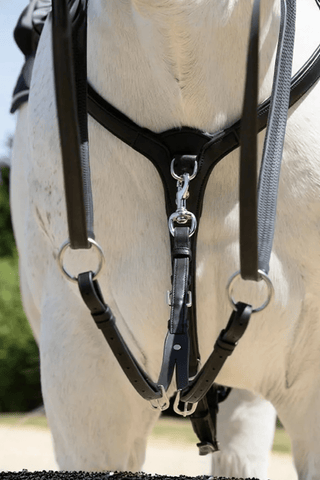 Antares Origin Martingaldel