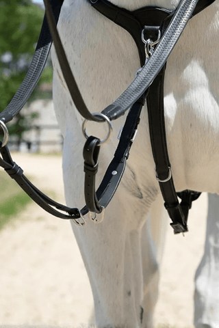 Antares Origin Martingaldel