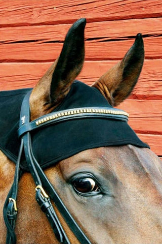 Nekbeschermer Paard