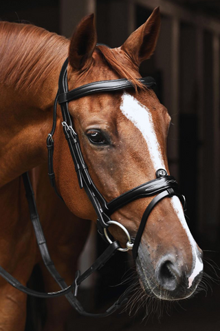 Signature Flash Träns Svart