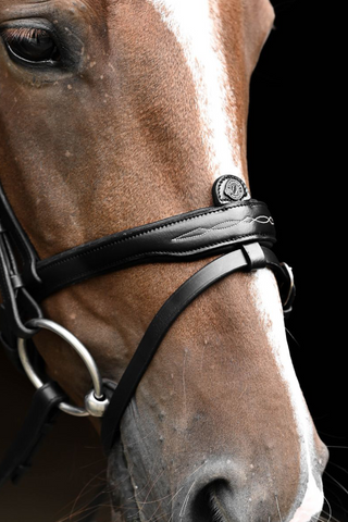 Signature Flash Träns Svart