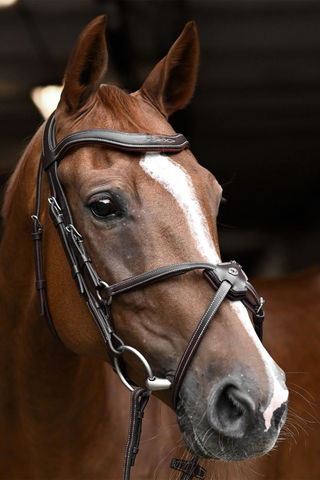 Antares Signature Fig 8 Trense