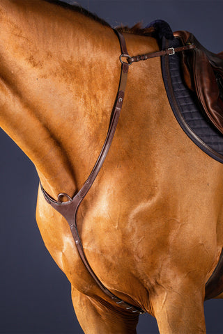 Breastplate With Bridge New English Brown