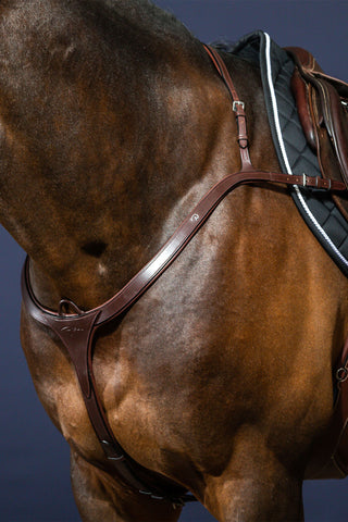 Borsttuig met lange brug New English bruin