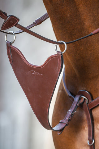 Kort Martingal Bib Hård New English Brun