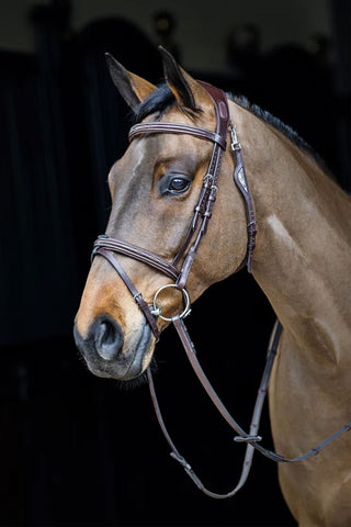 Equiline - Anatomisches Set