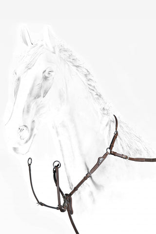Equiline - Anatomisches Set