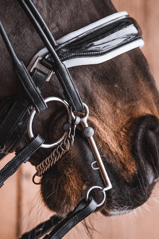 Mary Titan Bridon Anneaux Libres