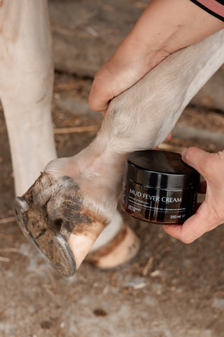 Mud Fever Creme Plus 250ml