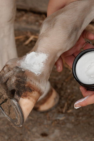 Mud Fever Creme Plus 250ml