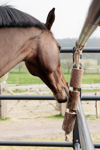 Holzspielzeug Natur Braun