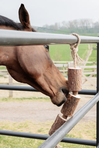Holzspielzeug Natur Braun