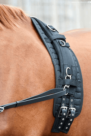 Horse Guard Kali Longeringspad