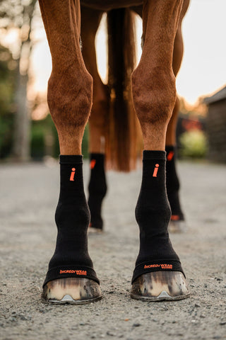 Chaussettes de circulation