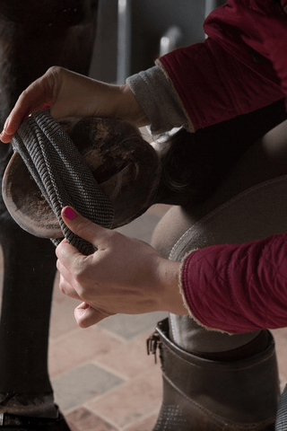 Incrediwear Equine Incrediwear Circulation Häststrumpor