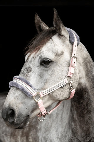 Halfter mit Fell Rosa