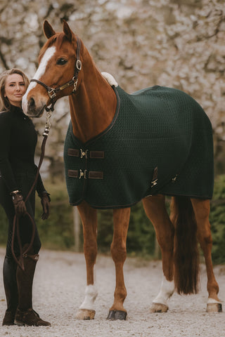 4D Spacer Cooler Sweat Rug Pine Green