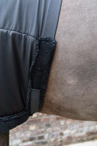 Protection de Poitrail Noir
