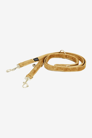 Kentucky Dogwear Hundkoppel Velvet