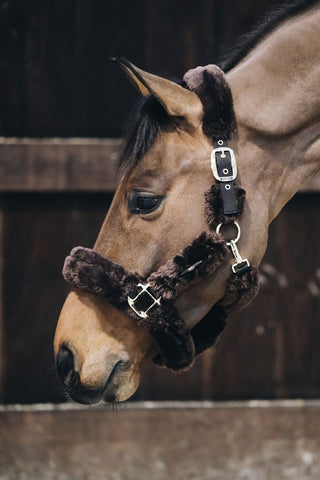 Sheepskin Halter Brown