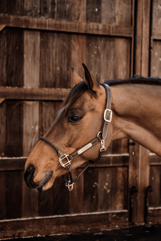Kentucky Horsewear Repgrimma Läder
